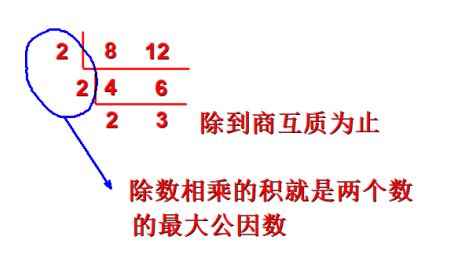 51和68的公因數|公因数计算器